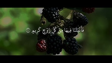 خلق السماوات بغير عمد ترونها - سورة لقمان - ياسر الدوسري