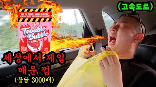 고속도로에서 매운 껌 먹이기 2탄ㅋㅋㅋ