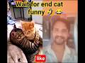 wait for end cat funny 🤣😂 #shortvideos #viralpost #highlights #funny #cat #viralvideos #comedy