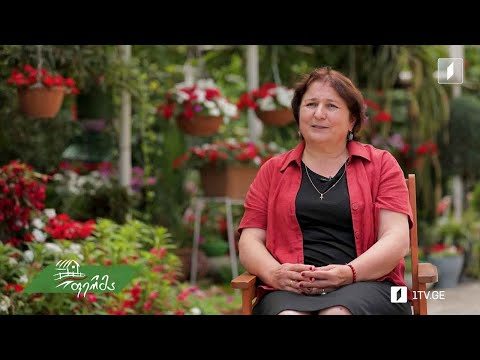#არტიშოკი მოყვარული ფლორისტის ბაღი კუმისში - ყვავილების სიყვარულის 20-წლიანი ისტორია