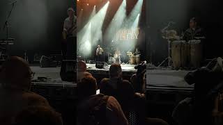 Robert Finley Live Performance | Soul-Blues Festival Vibes #concert #livemusic