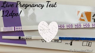 Live Pregnancy Test 2020! 11dpo! It's Getting Darker!