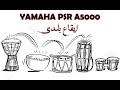 ايقاع بلدي مصري سماعي شرقي ياماها بي اس ار 5000 2024 ايقاع بلدي مصري سماعي شرقي ياماها بي اس ار 5000 2024