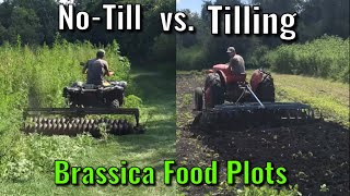 Planting Brassica Food Plots  NoTill vs Tilling