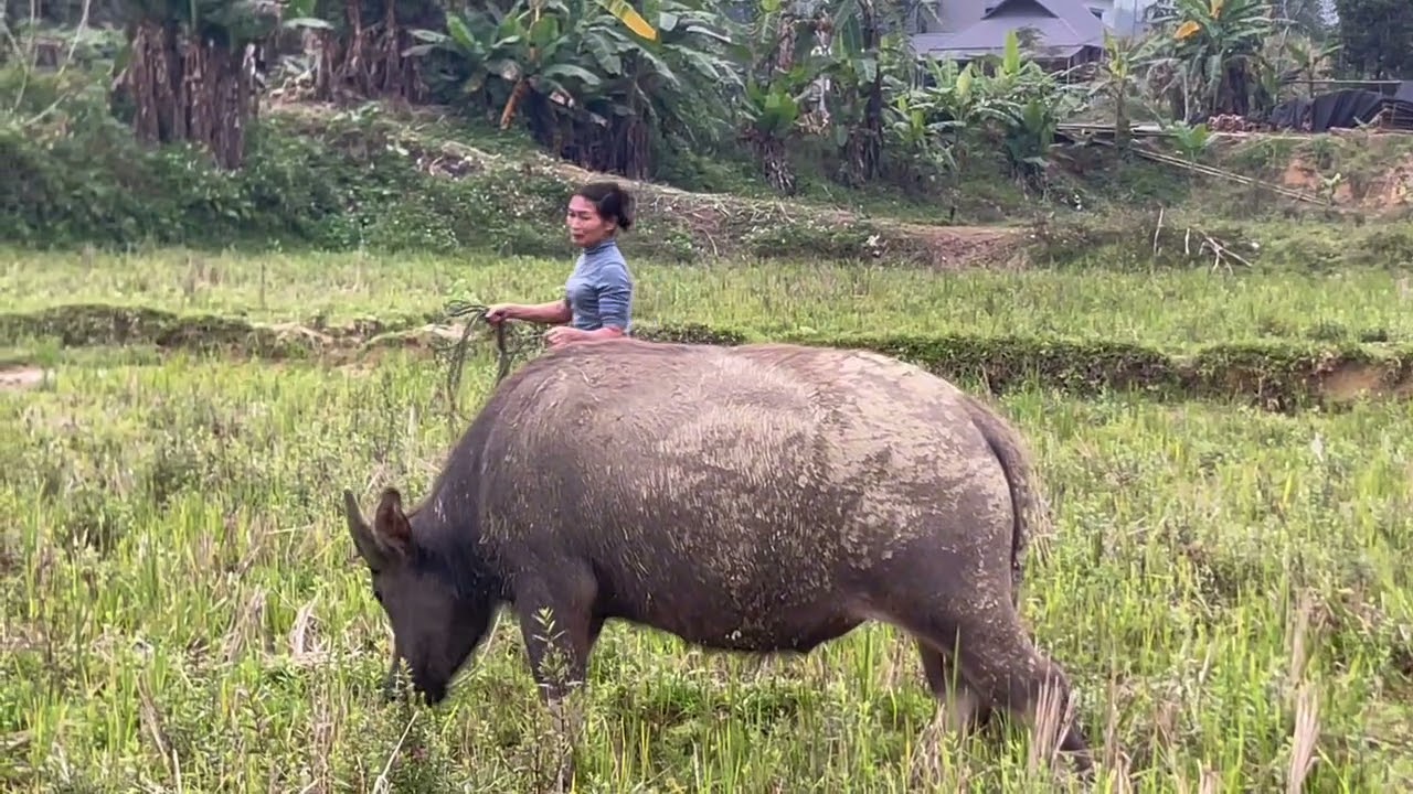 Ngày mới cuộc sống và cảnh đẹp mang đến niềm vui tươi và tràn đầy sức sống trên bản em.