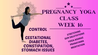 Week 16 Best Prenatal Yoga Camp| Control Gestational Diabetes, Constipation, Tummy Issues Pregnancy