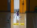 How To Score Easy Points In Basketball рџЏЂ 9 Years Old Tips And Tricks Hooper Lebron Balling How To Score Easy Points In Basketball рџЏЂ 9 Years Old Tips And Tricks Hooper Lebron Balling