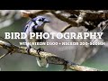 BIRD PHOTOGRAPHY (Nikon D500 + Nikkor 200-500mm)