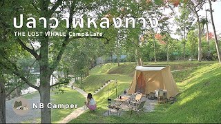 NB Camper Ep17 : กางเต็นท์นอนแอร์ ลานดี วิวสวยที่ ปลาวาฬหลงทาง | มวกเหล็ก สระบุรี | Springbar