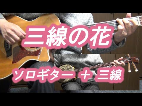 三線の花/Begin/ソロギター＋三線