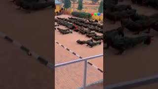 Airforce Soldiers In Harmony Push-Up Beats Military Strength