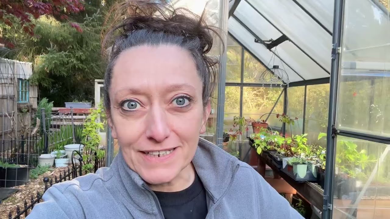 Winter Sowing Update (aka FAIL)