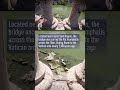 Ancient Roman bridge revealed by drought-drained Tiber