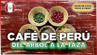 Aprendo A Producir Café Artes En Perú - Doental Con La Familia Viamonte En Lucmabamba
