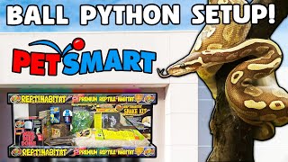 Ball Python Setup Guide for Beginners by Reptiles and Research 1,752 views 3 months ago 7 minutes, 19 seconds