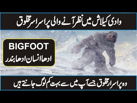 Video: Bigfoot Iz Pakistana - Alternativni Pogled
