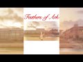 【あんスタ】Feathers of Ark サビだけ踊ってみた【fine】#shorts
