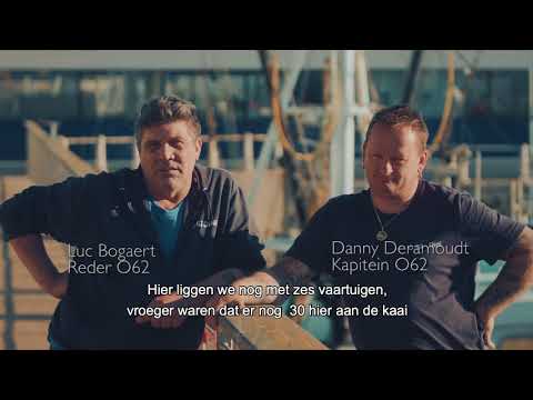 Video: Visserijverhalen. Collega's