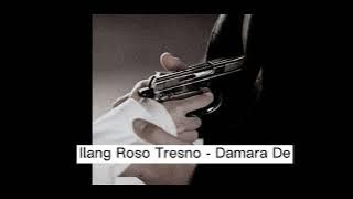 Ilang Roso Tresno - Damara De (slowed)