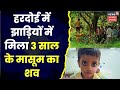 Hardoi news      3             hindi news