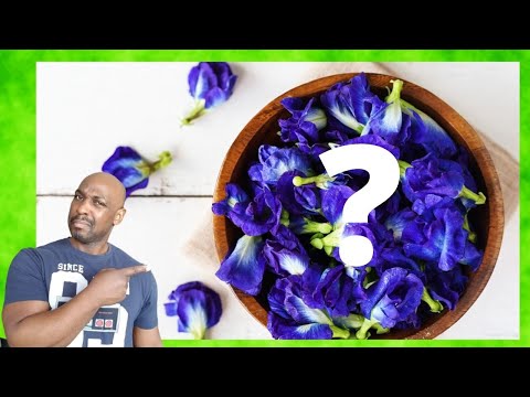 Wideo: Czy możesz jeść kwiaty grochu motylkowego?