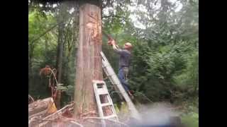 Carving a 10'ft Cedar Tiki Part 2