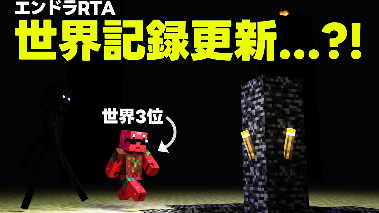 世界記録大幅更新のはずが... エンドラRTA史上最大の悲劇を解説します