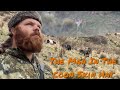 The Man In The Coon Skin Hat (Feral Pig and Fallow Deer Hunt
