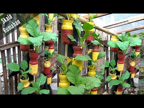 Video: Berkebun Dengan Botol Lama: Idea Untuk Menggunakan Semula Botol Di Taman