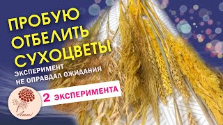 ЭКСПЕРИМЕНТ. ПРОБУЮ ОТБЕЛИТЬ СУХОЦВЕТЫ. Смотрите результат. Очень неожиданно