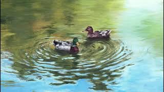 Duck Sauce - Can't Stop (Extended Mix)