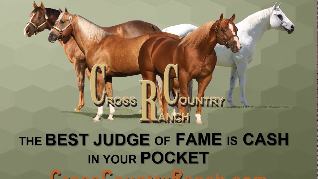 Cross Country Ranch Cross Country Ranch...Best Advice and Mullberry Fame - YouTube
