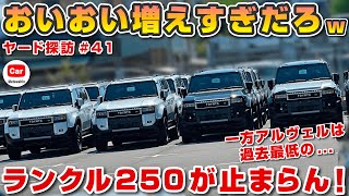 【これは増えすぎw】ランクル250が過去最大の台数!? 一方アルヴェルの台数はまさかの過去最低!? | アルファード ヴェルファイア トヨタ ランクル300  toyota alphard  追加枠