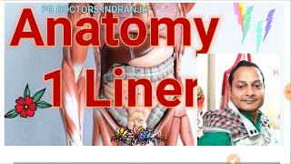 Anatomy One Liner:- 1 For All medical PG Exam