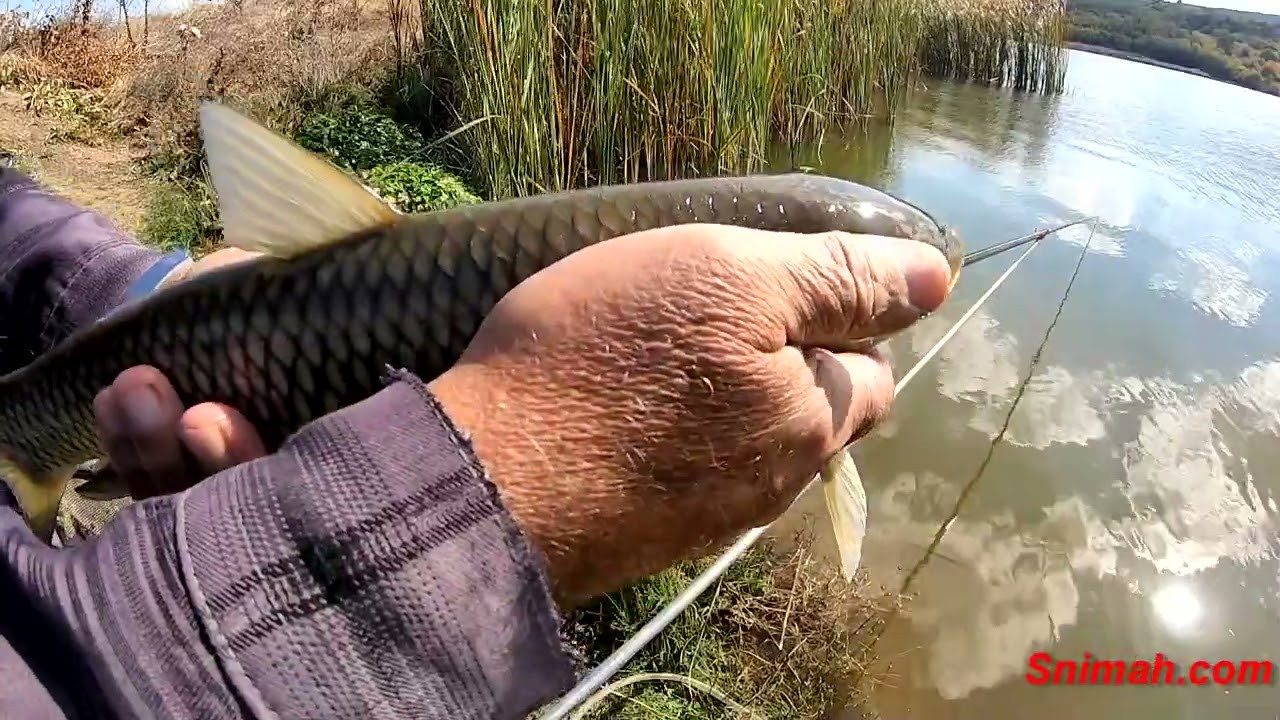 На язовир Братушково през есента