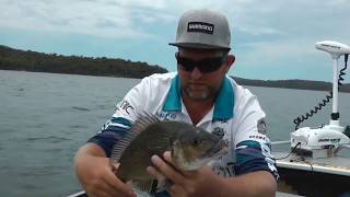 BREAM ON THE FLATS  - Surface Fishing For Bream