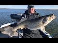 Personal Best Walleye on Missouri River