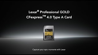 Lexar Professional D Cfexpress 4.0 Type A Card