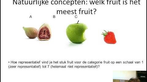 concepten, schema, scripts