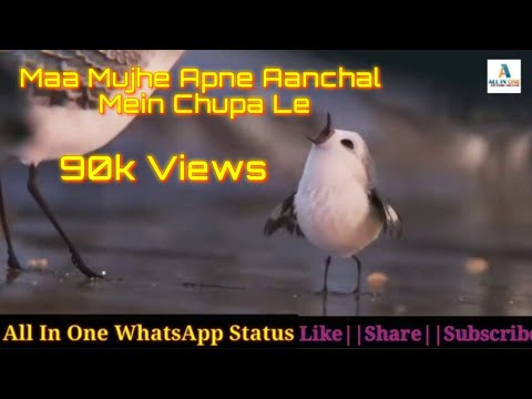 Maa Mujhe Apne Aanchal Mein Chupa Le ||New WhatsApp Status Video ||Thanks My All Lovely Subscriber's