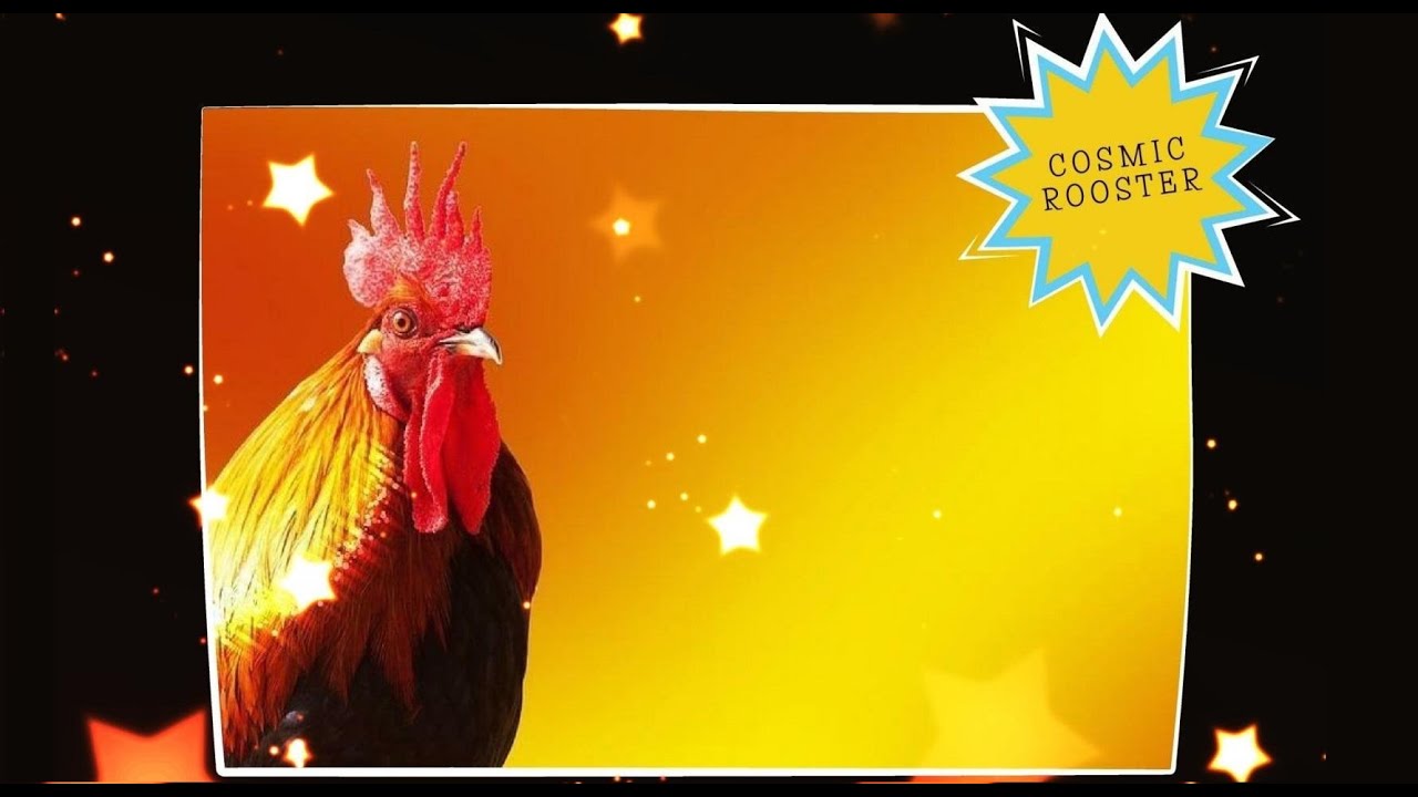 Cosmic Rooster