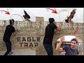 Eagle ko aj paker hi liya tha   easy eagle trap using net  how to catch eagle  mini zoo