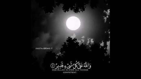 ياسر الدوسري  /قرآن كريم /مقاطع قصيرة/حالات واتساب/تلاوة عطرة