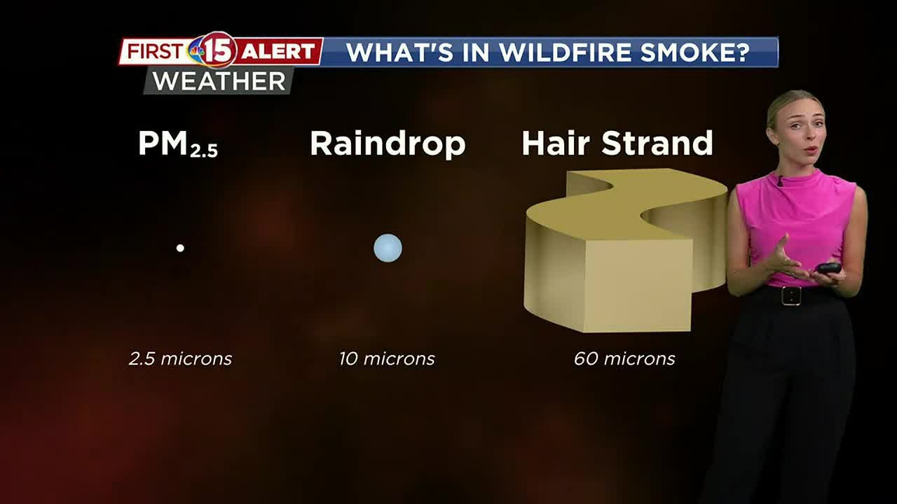 Why air quality is so bad in southern Wisconsin right now YouTube