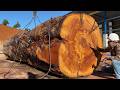 Million Dollar Log Cutting: How Rare Logs Become Big Profits