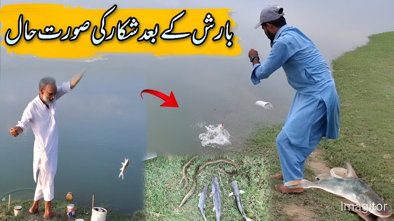 Hammad Fish Barish Ke Bad Shikar Ki Surat Haal | Mangla Dam Fishing | Hammad ...