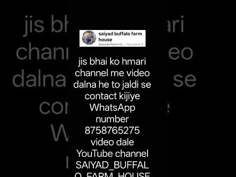 #music #automobile #cow #bull #lifeisbutadream #remixsong #musicremix #animalsong #farming #cowsong by saiyad buffalo farm house 