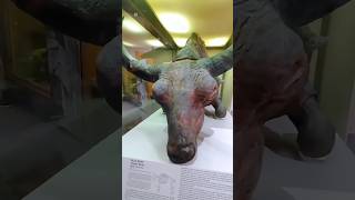 50 Thousand Years Old Buffalo