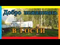 ЗАХОДИТЕ В ГОСТИ) Обзор хозяйства. Теплица, виноградник и птичник...