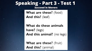 1.3 | Speaking - Part 3 - Test 1 | Succeed in Movers